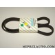 Courroie accessoire Fiat Alfa Romeo Lancia original OEM 71749447 5PK1173