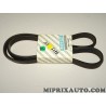 Courroie accessoire Fiat Alfa Romeo Lancia original OEM 71749447 5PK1173