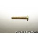 Vis fixation galet courroie de distribution Citroen Peugeot original OEM 692191