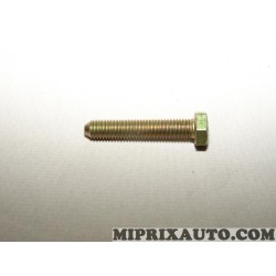 Vis fixation galet courroie de distribution Citroen Peugeot original OEM 692191 