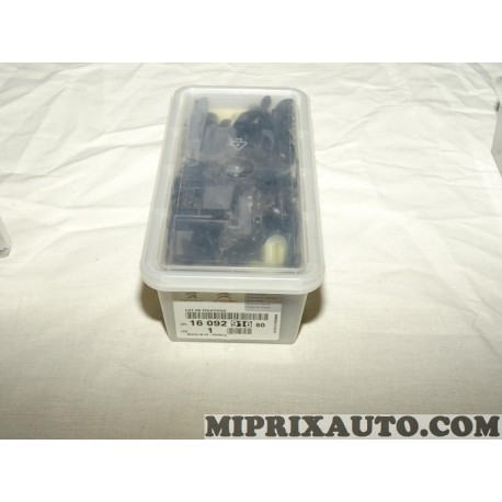 Pack agrafes attache de fixation carrosserie Citroen Peugeot original OEM 1609291680 