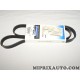 Courroie accessoire 6PK1422 Mopar Jeep Dodge Chrysler original OEM 04861400AC