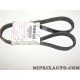 Courroie accessoire 6PK1035 Fiat Alfa Romeo Lancia original OEM 55192075