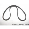 Courroie accessoire 4PK874 Fiat Alfa Romeo Lancia original OEM 71719035