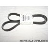 Courroie accessoire trapezoidale Fiat Alfa Romeo Lancia original OEM 51824327