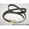 Courroie accessoire Fiat Alfa Romeo Lancia original OEM 71753671