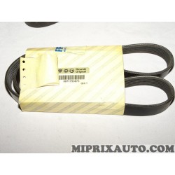 Courroie accessoire Fiat Alfa Romeo Lancia original OEM 71753873 