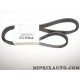 Courroie accessoire 6PK1079 Fiat Alfa Romeo Lancia original OEM 71749444