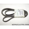 Courroie accessoire Nissan Infiniti original OEM 1172069T04 11720-69T04
