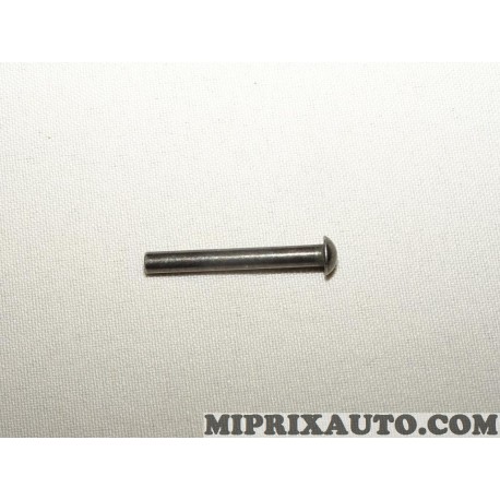 Axe rivet baie de custode Fiat Alfa Romeo Lancia original OEM 13766907 